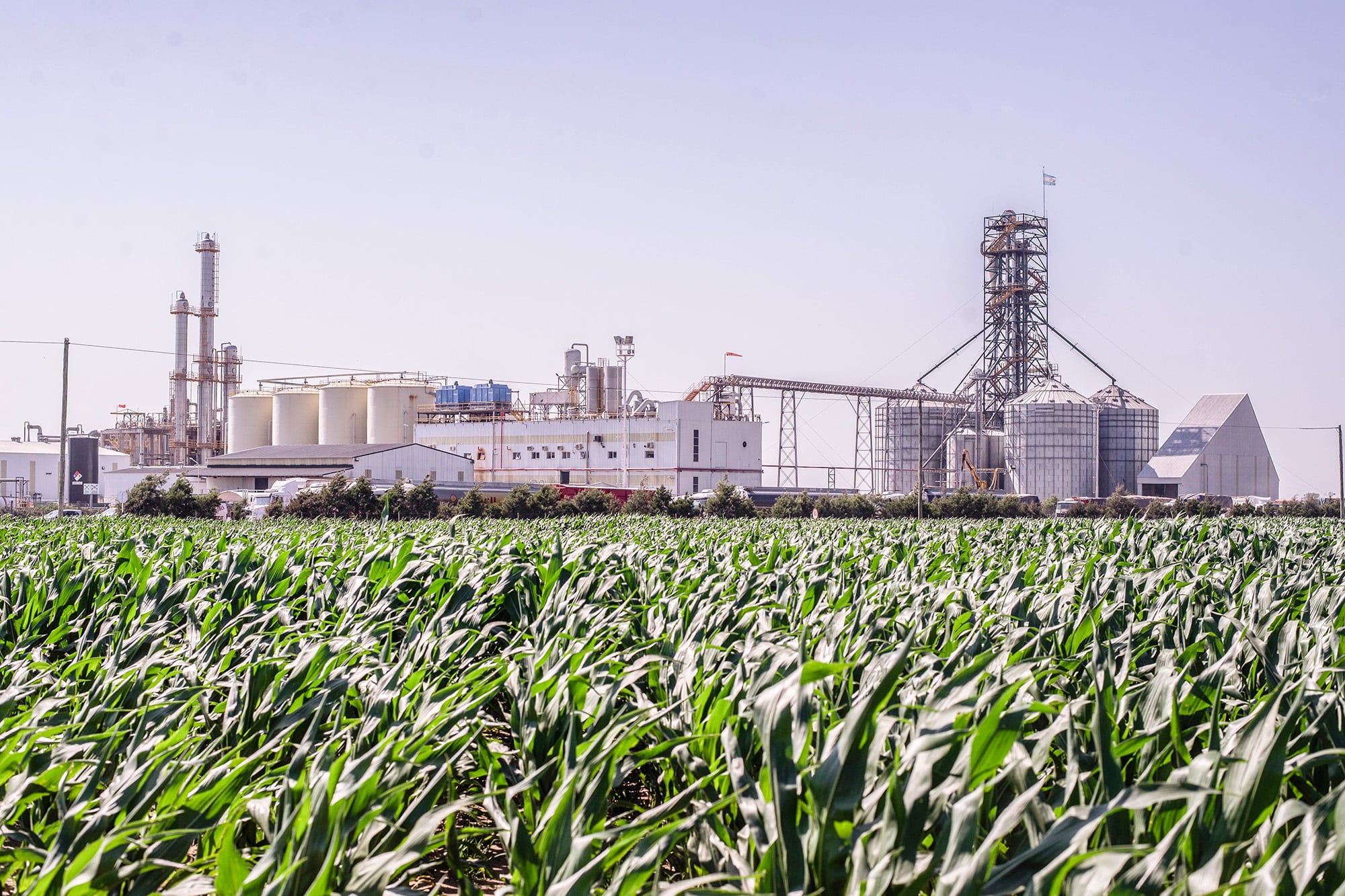 Inversión de US$70 millones: un gran jugador del negocio del bioetanol ampliará una planta