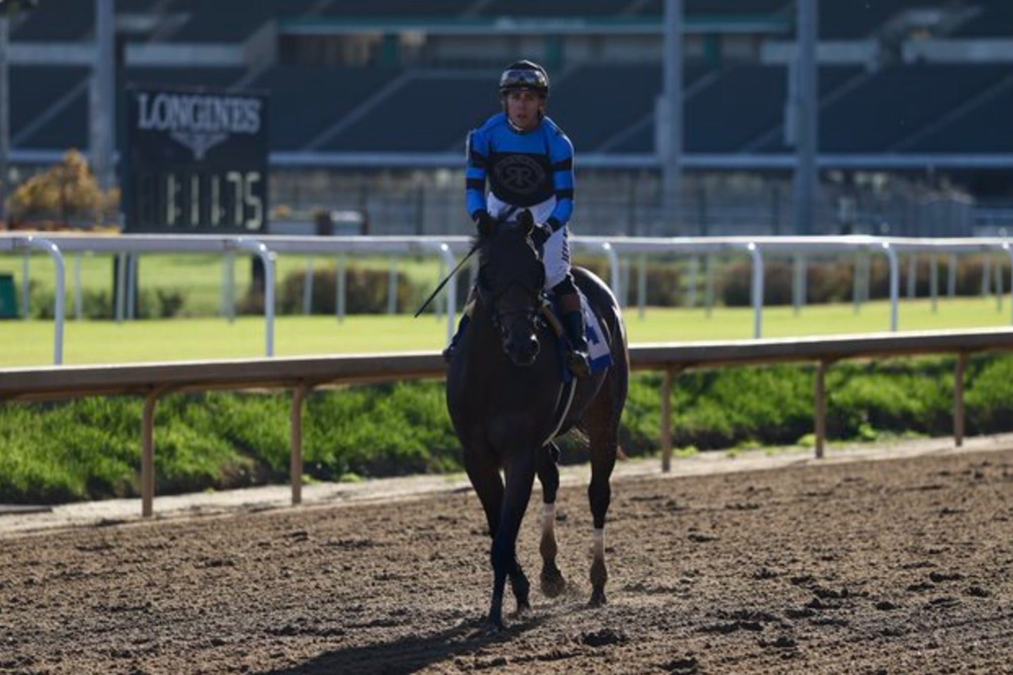 Awesome Hawaiian, el potrillo que fue rescatado, le ganó a la muerte y completó el milagro al llegar a las pistas