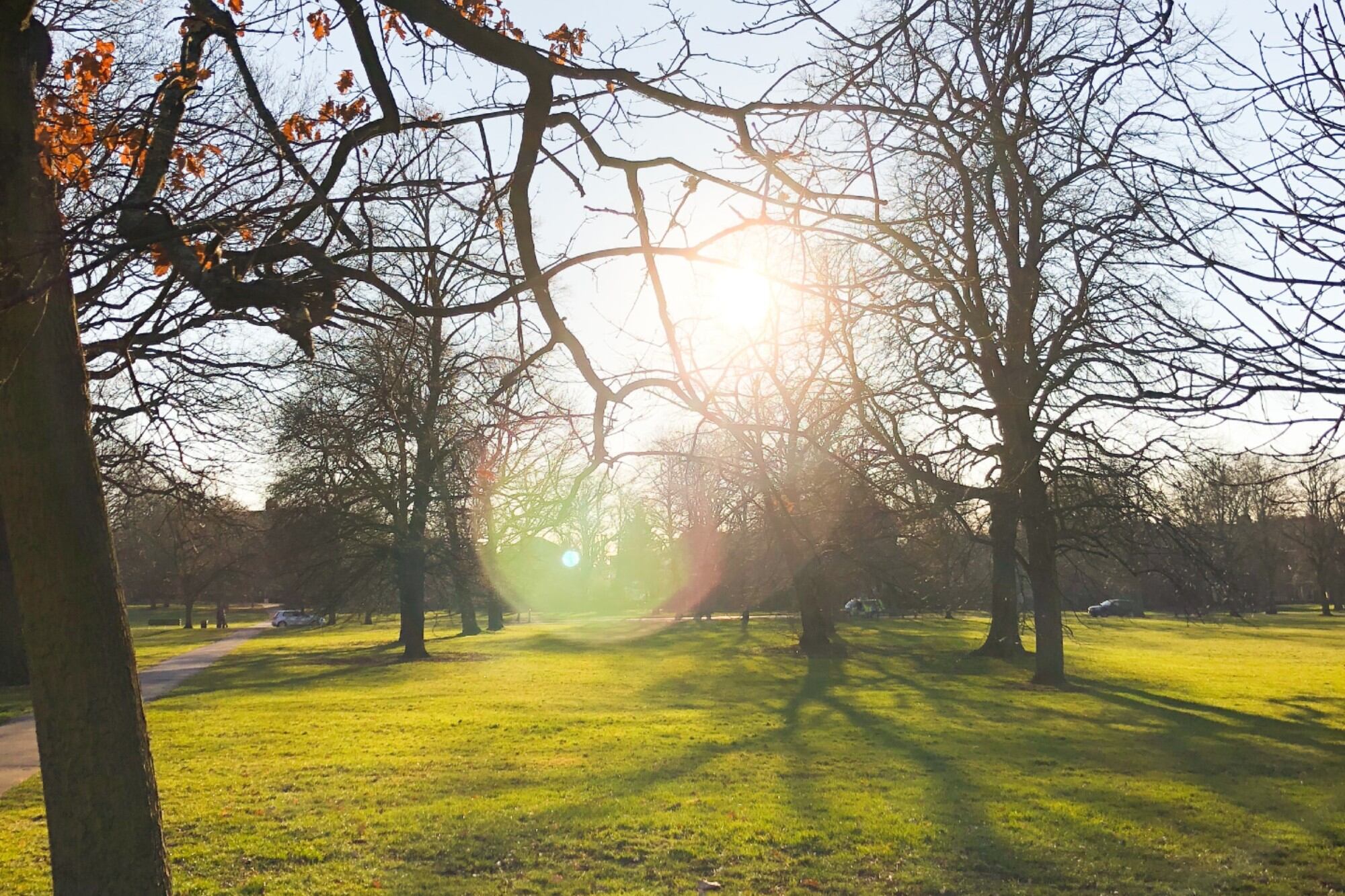 El equinoccio de primavera, este año, se producirá el 22 de septiembre