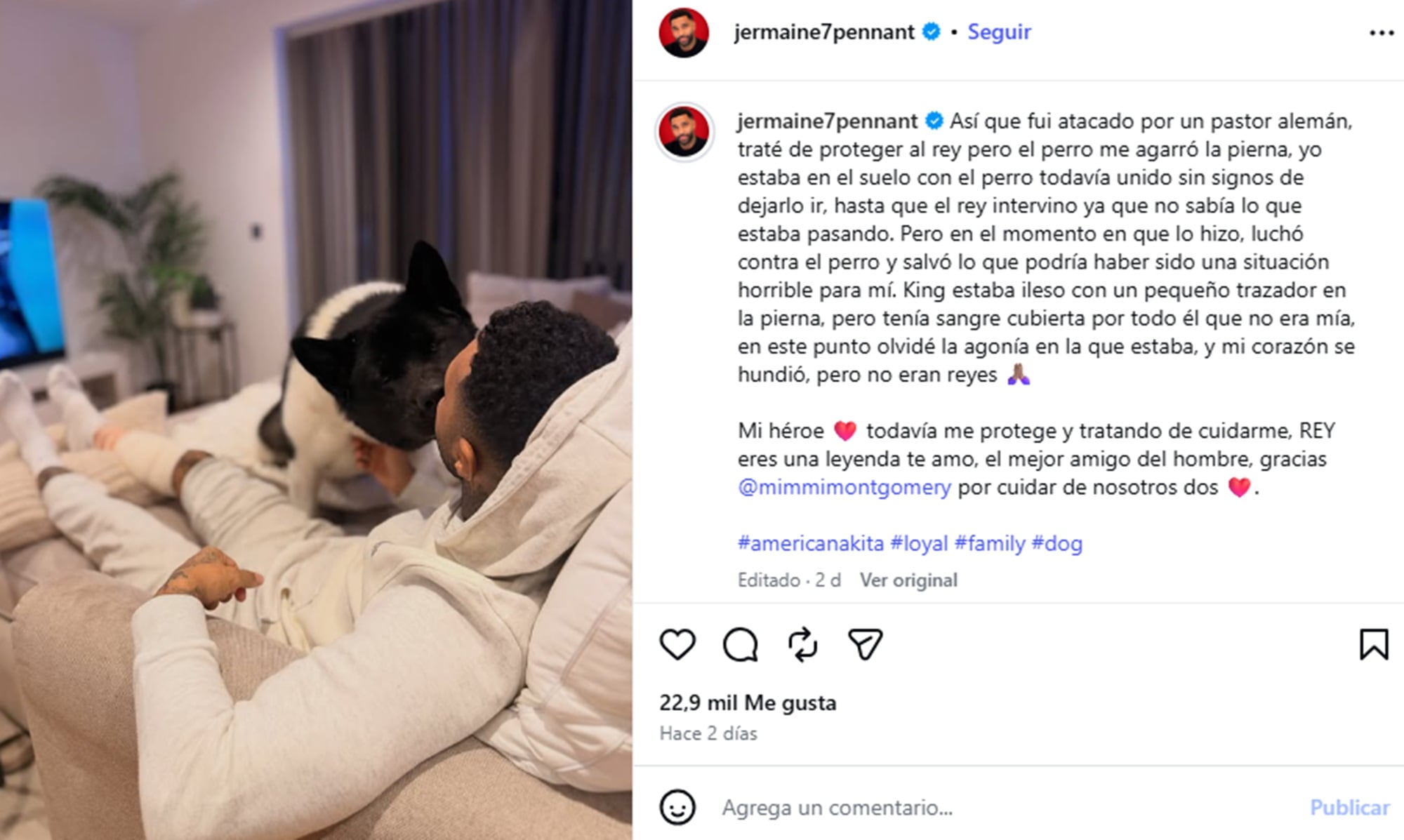 Pennant compartió un cariñoso mensaje de agradecimiento para su mascota en redes sociales