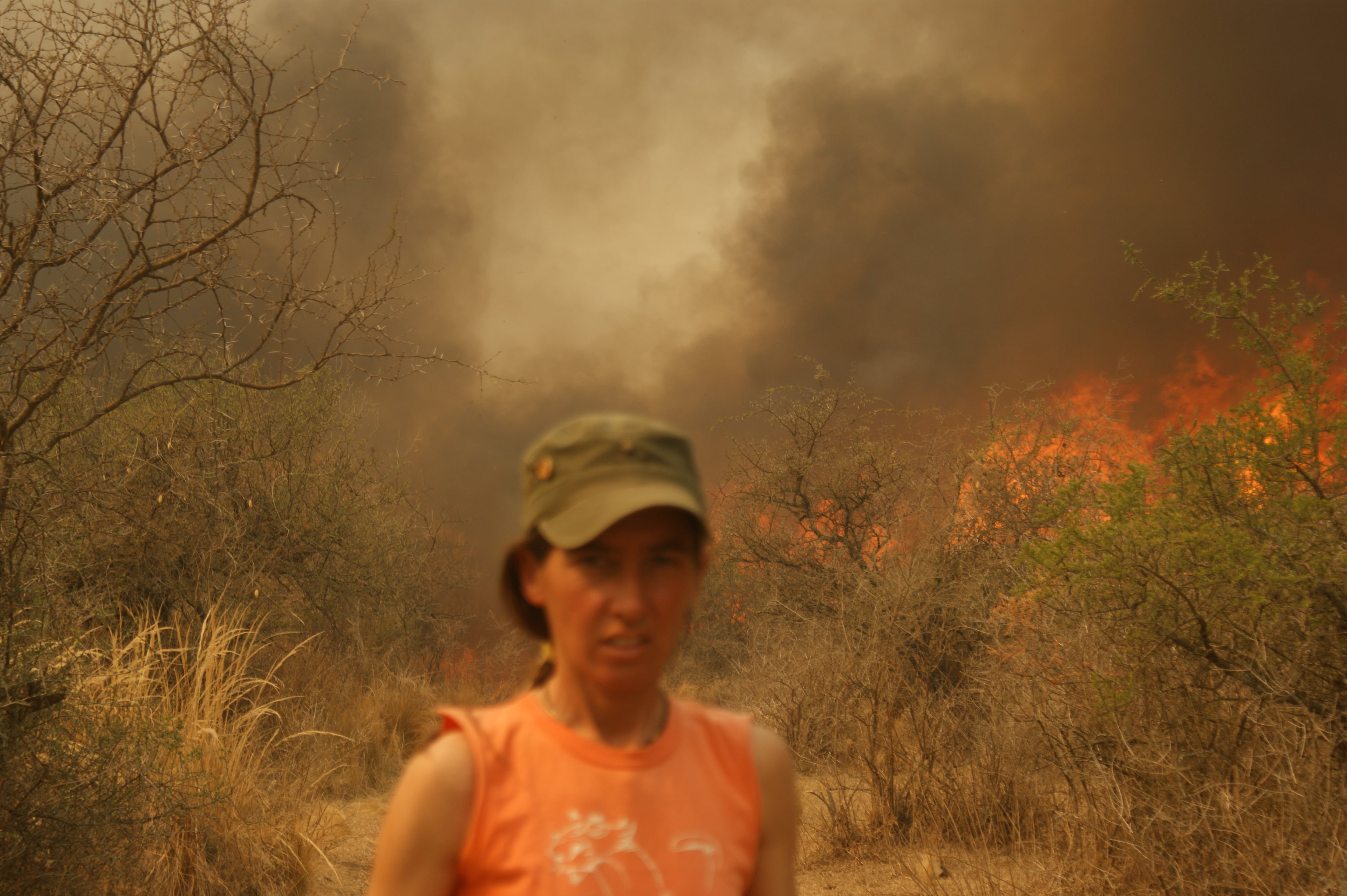 El 90% de la reserva fue arrasada por el fuego