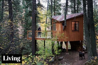 Una diseñadora argentina proyectó una “casa del árbol” para adultos