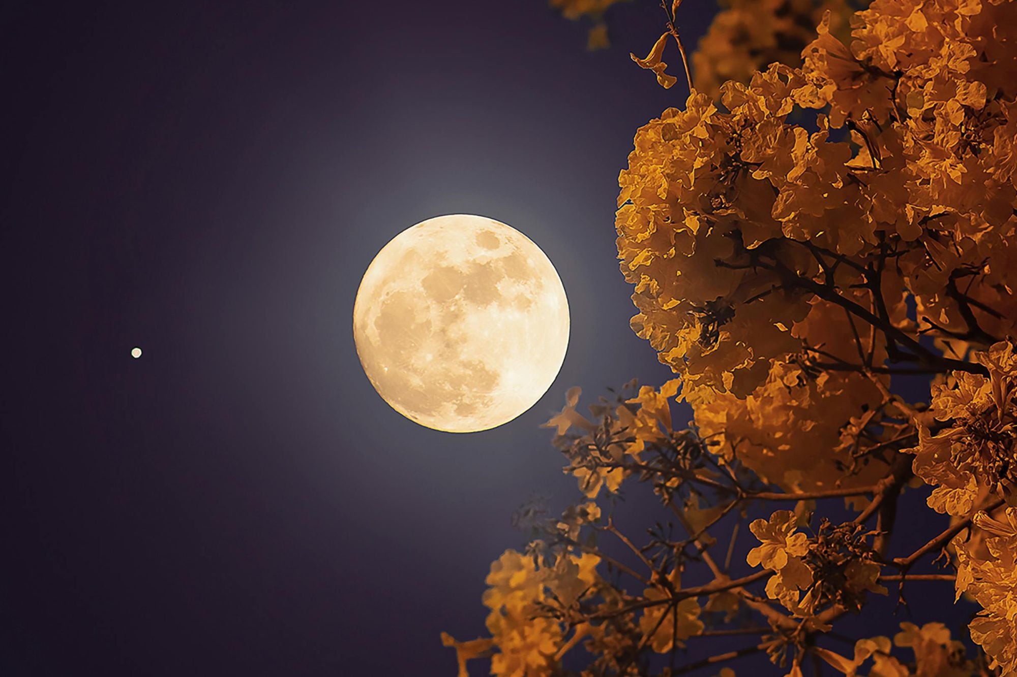 Calendario lunar en Estados Unidos de noviembre 2025