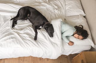 Ideas para proteger nuestro refugio