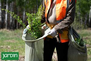 Aunque traslades plantas dentro del país necesitás este documento para que no te las saquen