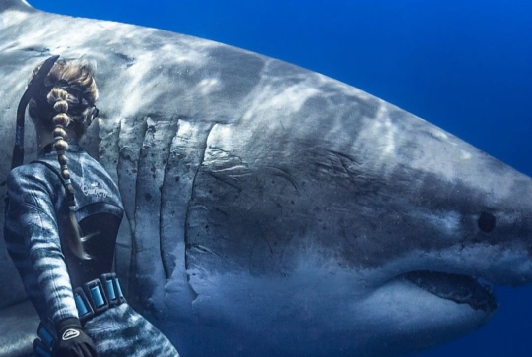 Ramsey con Deep Blue, en una de sus imágenes más icónicas