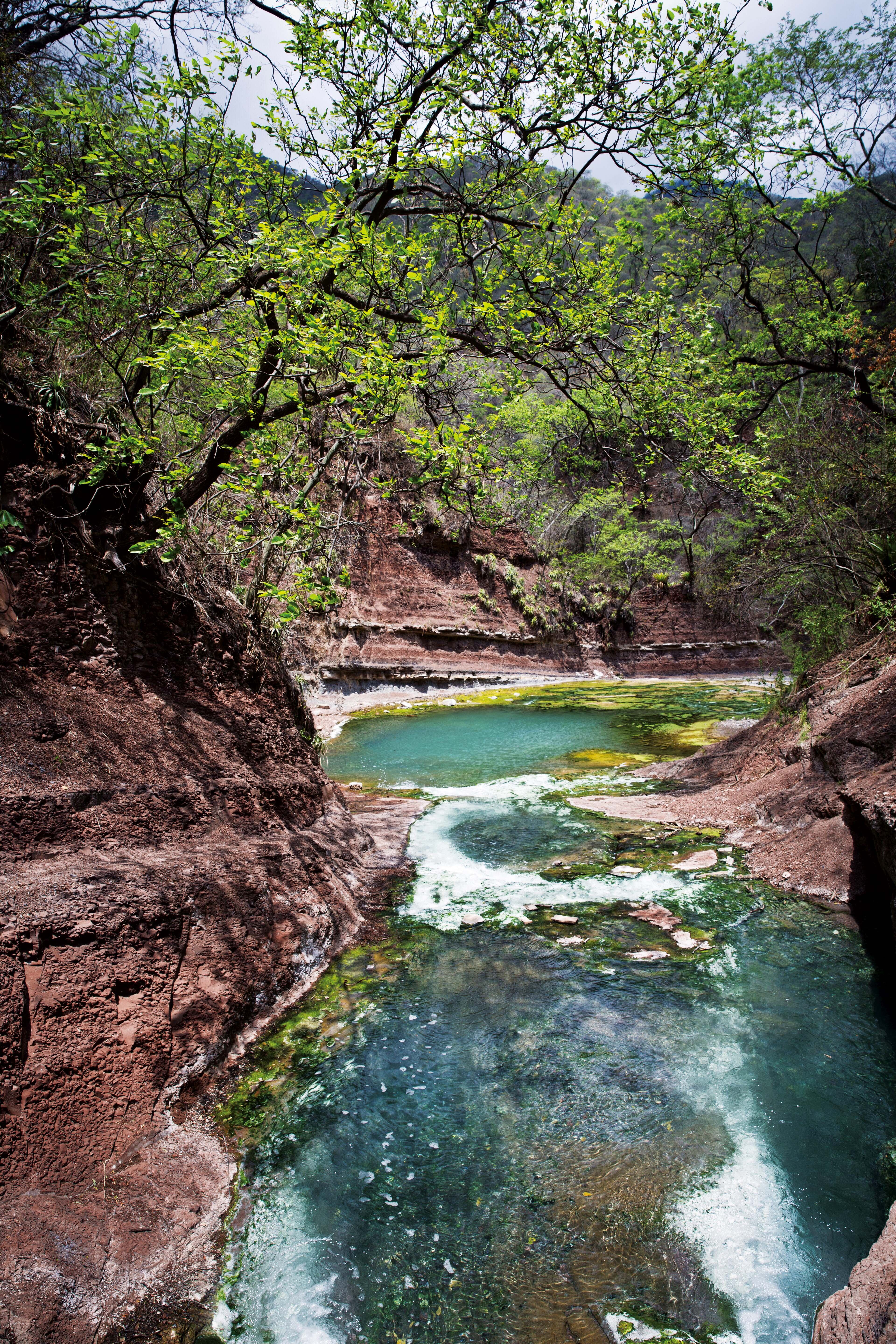 Termas del Río Jordán, un tesoro de la yunga jujeña.