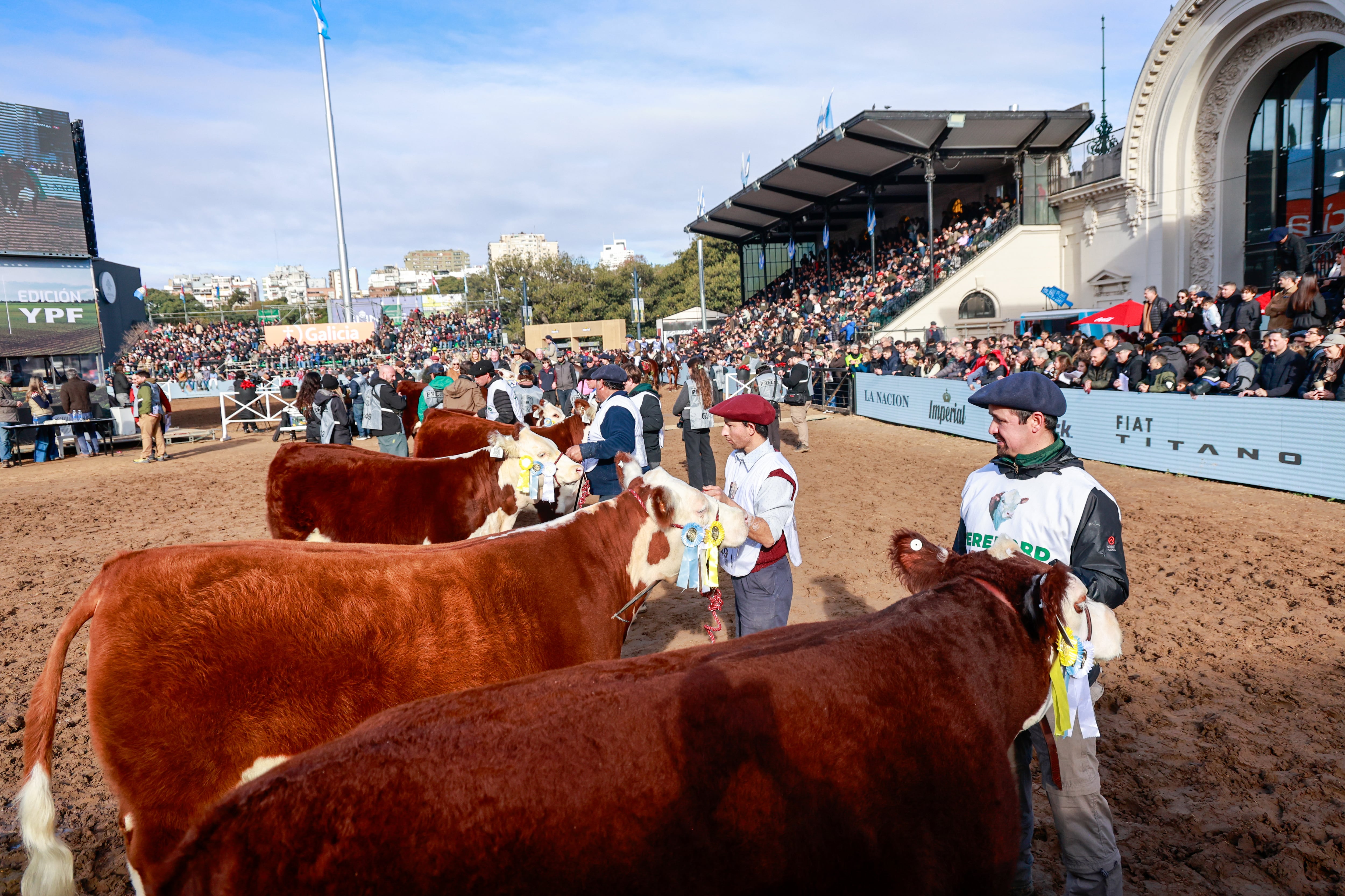 Exposición Rural: el tren de la ganadería está en marcha y puede acelerar