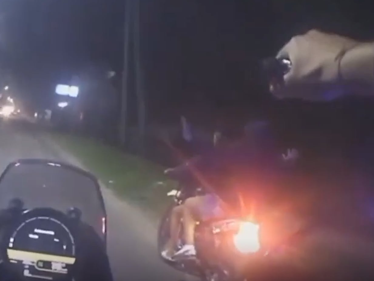 Persecución al límite: dos policías acorralaron a motochorros que escapaban en contramano y a gran velocidad