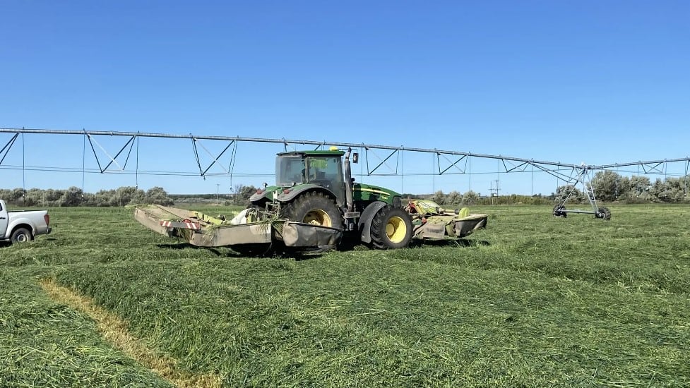 Río Negro cuenta con casi 27.000 hectáreas cultivadas en los distintos valles
