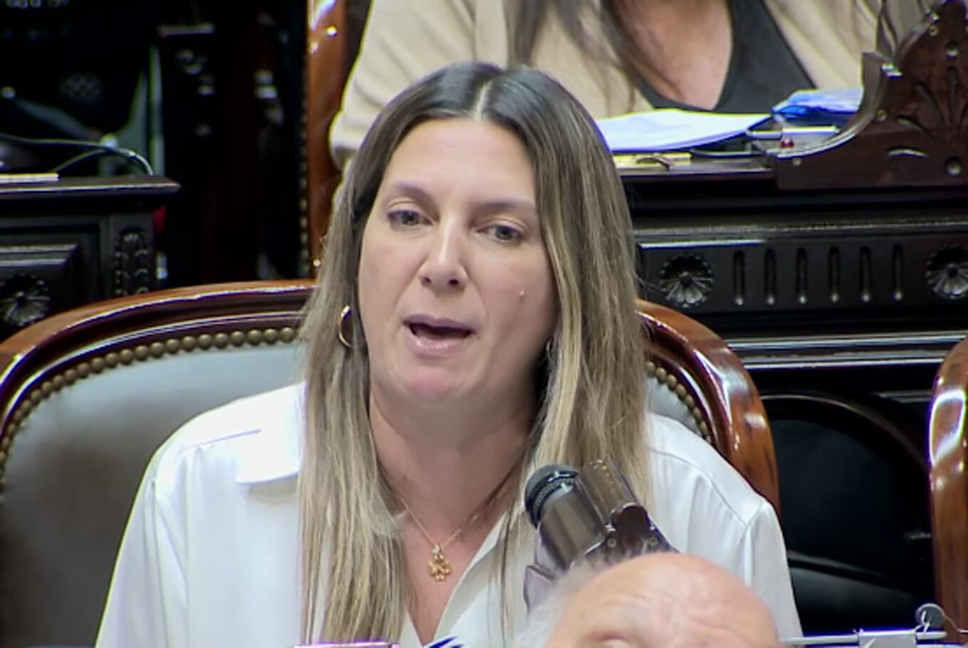 La diputada Lospennato, indignada por la actitud de los libertarios; después le escribió Milei