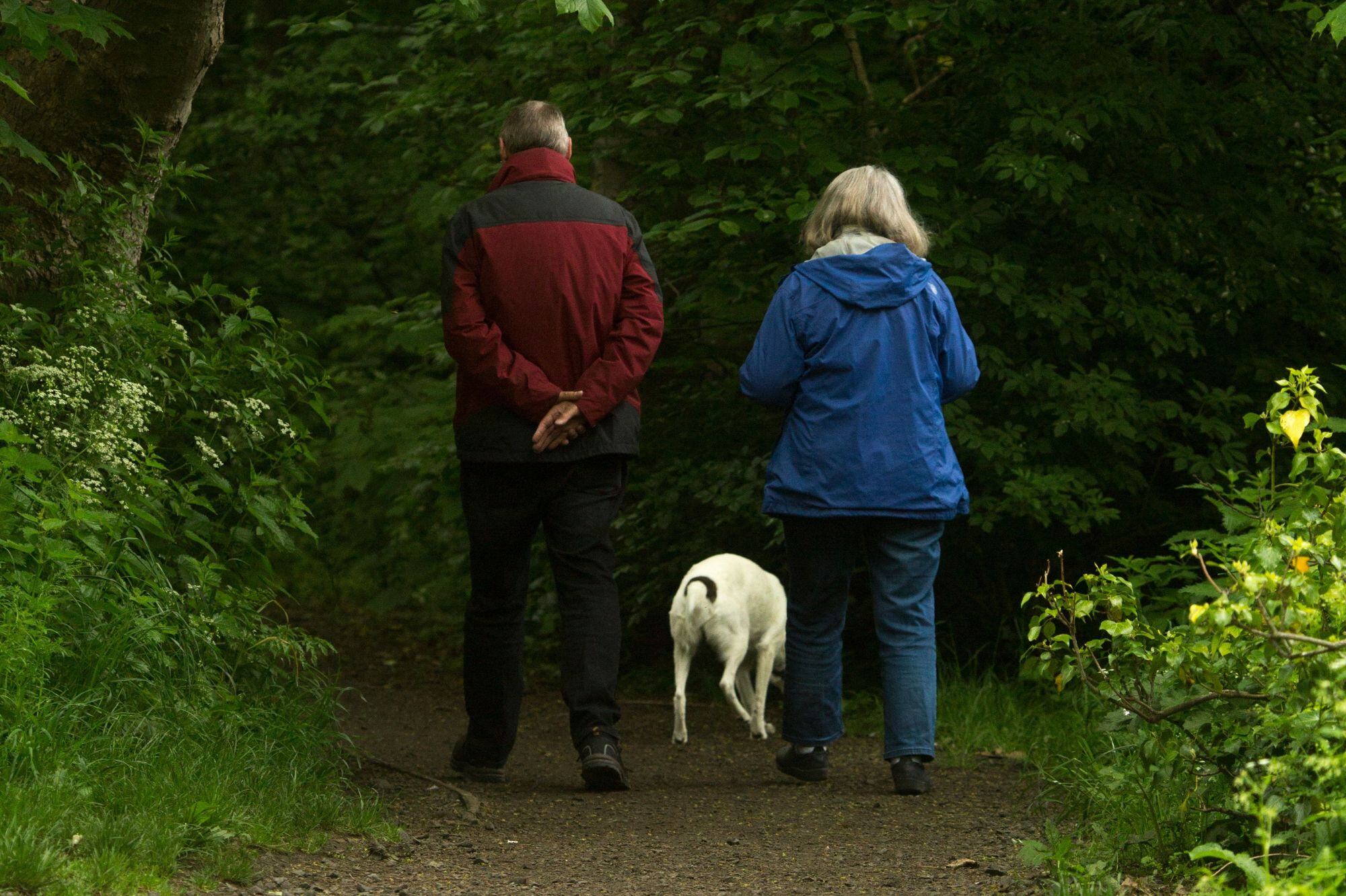 A qué edad se pueden retirar los estadounidenses: jubilación anticipada, edad de jubilación o retiro avanzado