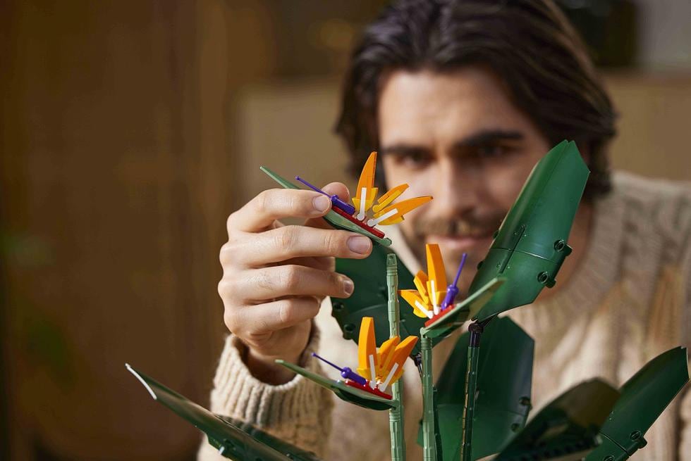 Más que juguetes, los nuevos ladrillos se convirtieron en decoración para interiores
