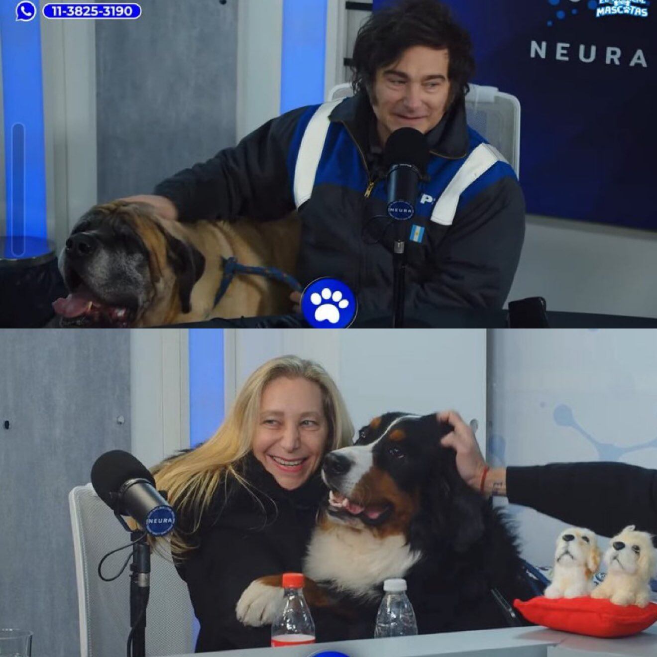 El conductor hizo referencia a los rasgos cómicos del presidente Milei