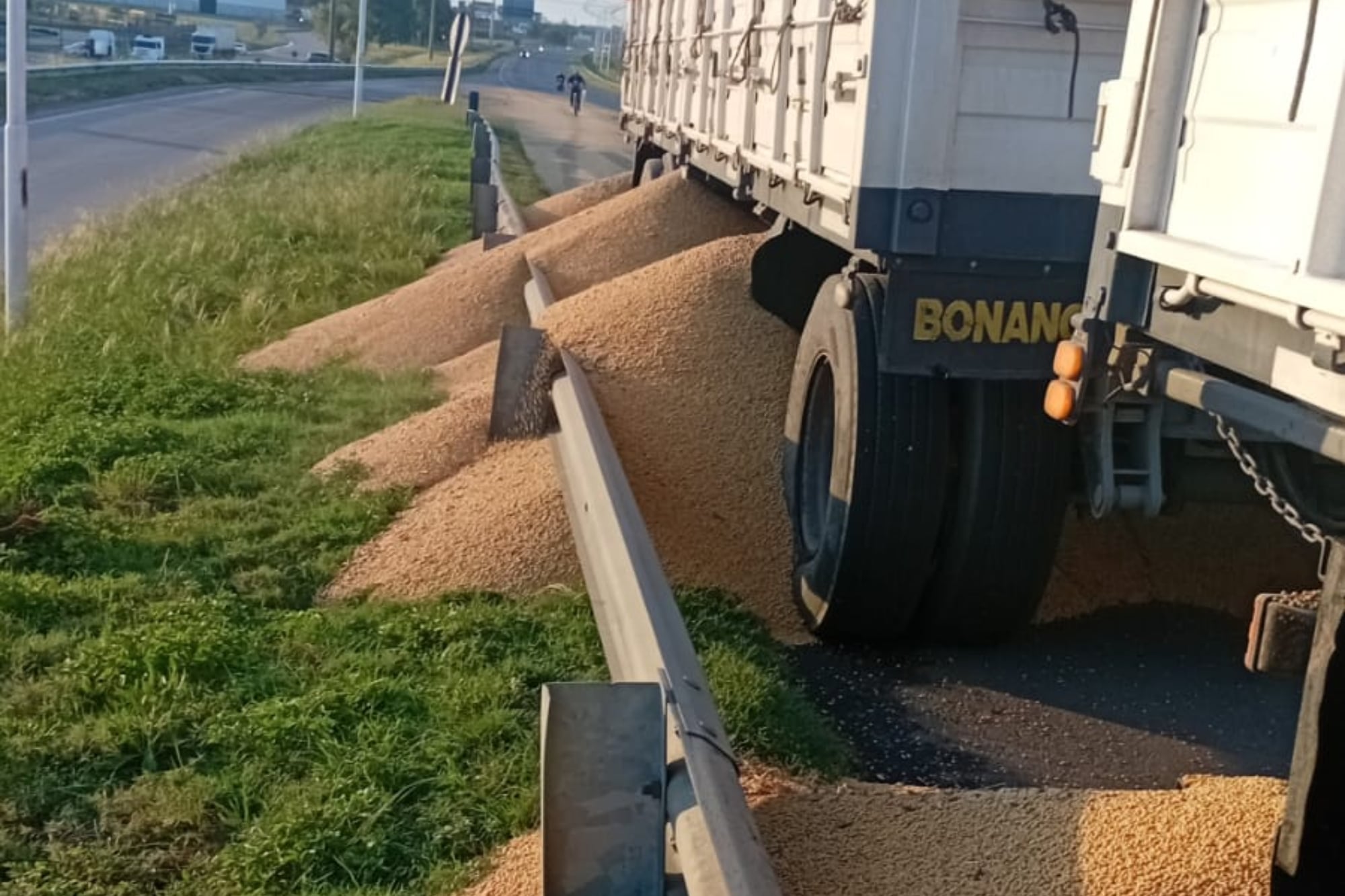 “Frené y tenía al ladrón colgado del vidrio”: denuncian crecientes robos en los puertos del Gran Rosario