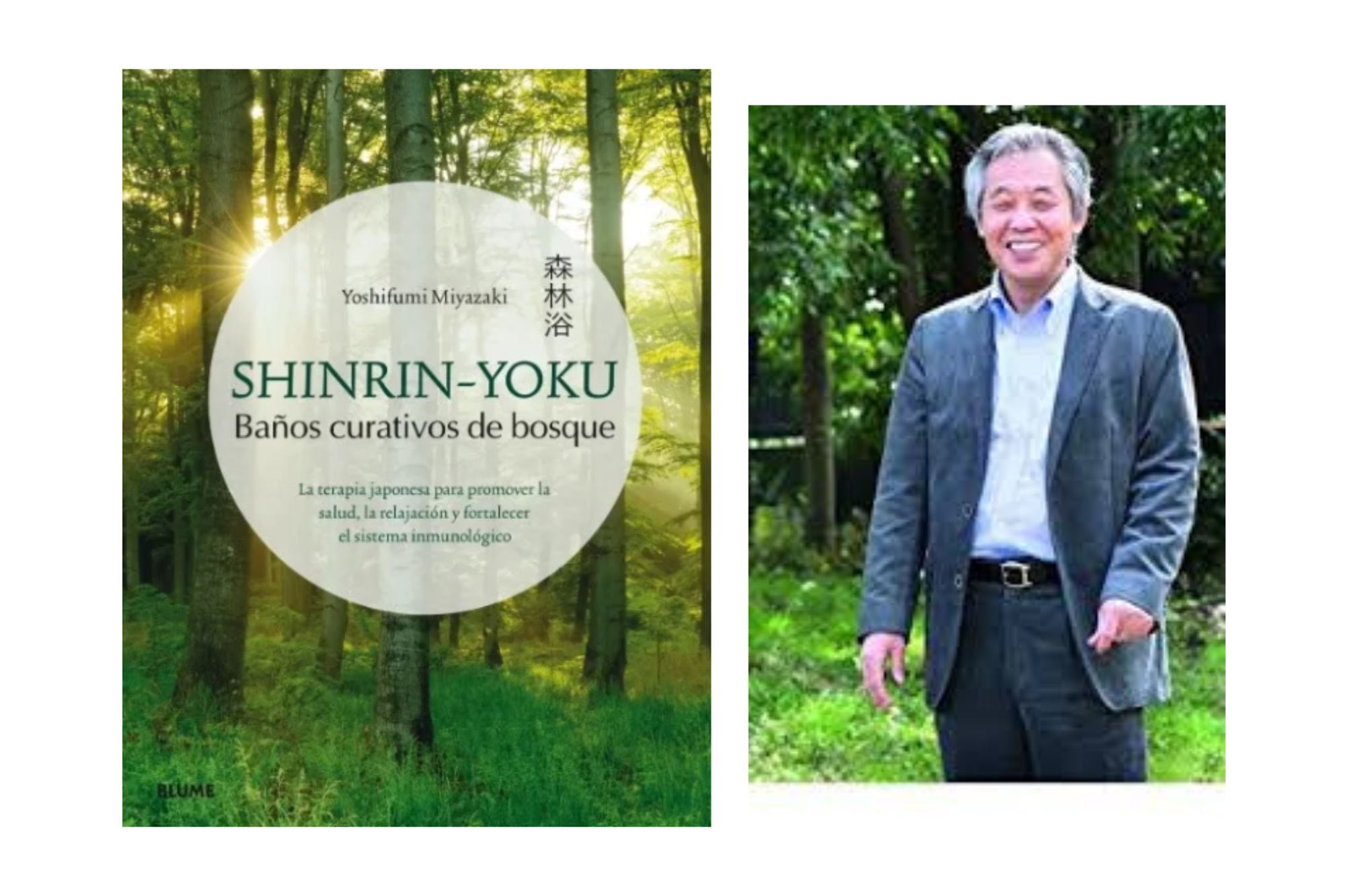 Yoshifumi Miyazaki fue quien escribió los principios de esta técnica japonesa en su libro Shinrin-yoku