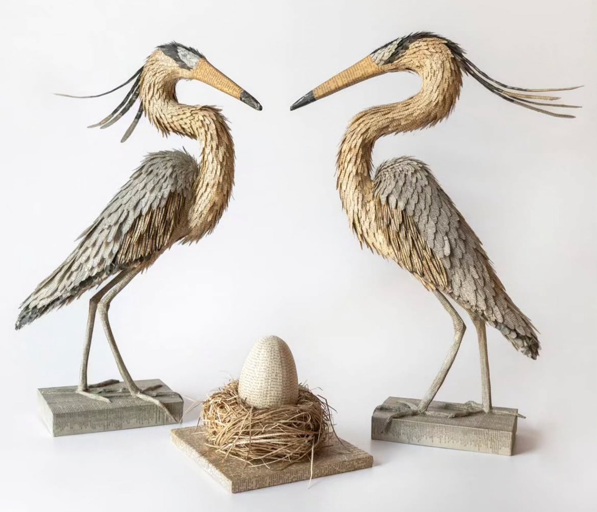 Cada pluma, cada curva y cada gesto de las aves de Stagnaro remiten a una observación atenta del mundo natural