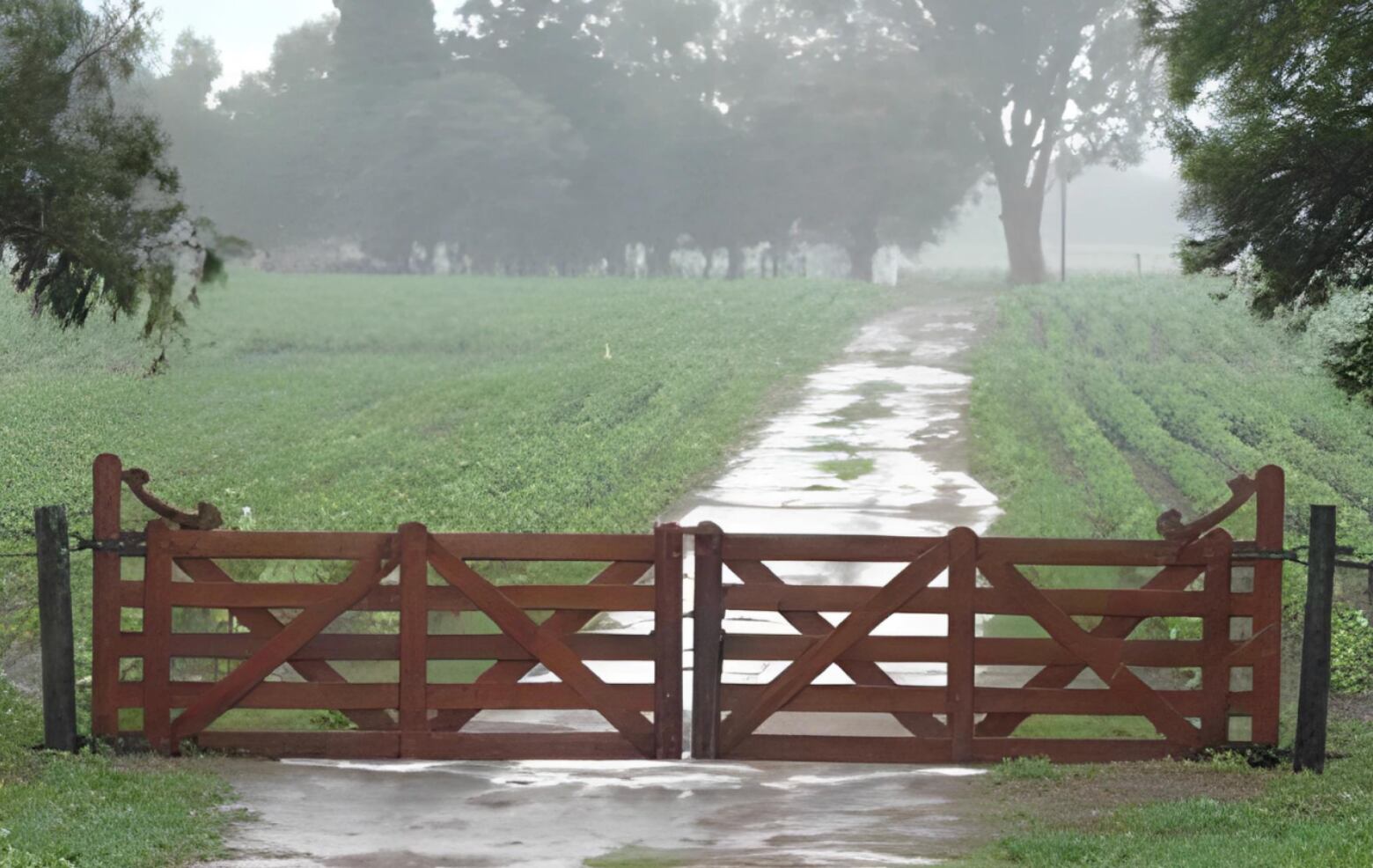 Gran parte del área agrícola tiene buenas reservas de humedad para iniciar la nueva campaña