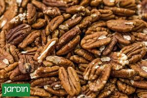 El fruto seco que es una excelente fuente de grasas saludables, proteínas y antioxidantes