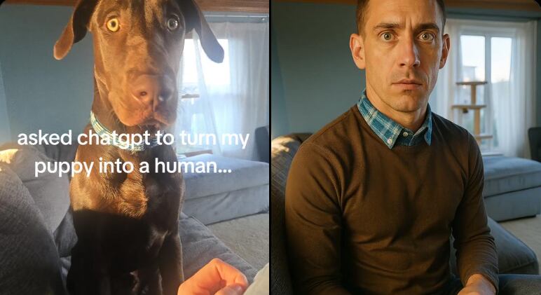 Crédito: Justine Moore a través de X.