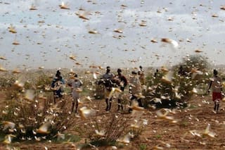 Biodiversidad contra las pandemias