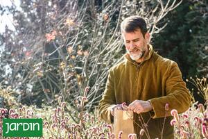 Ahora es el momento de podar, limpiar, dividir y juntar semillas