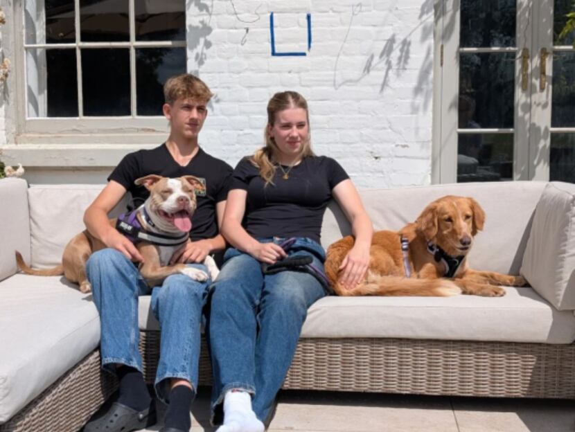 La perra Amber ahora espera por una familia definitiva (Foto: The Guardian)