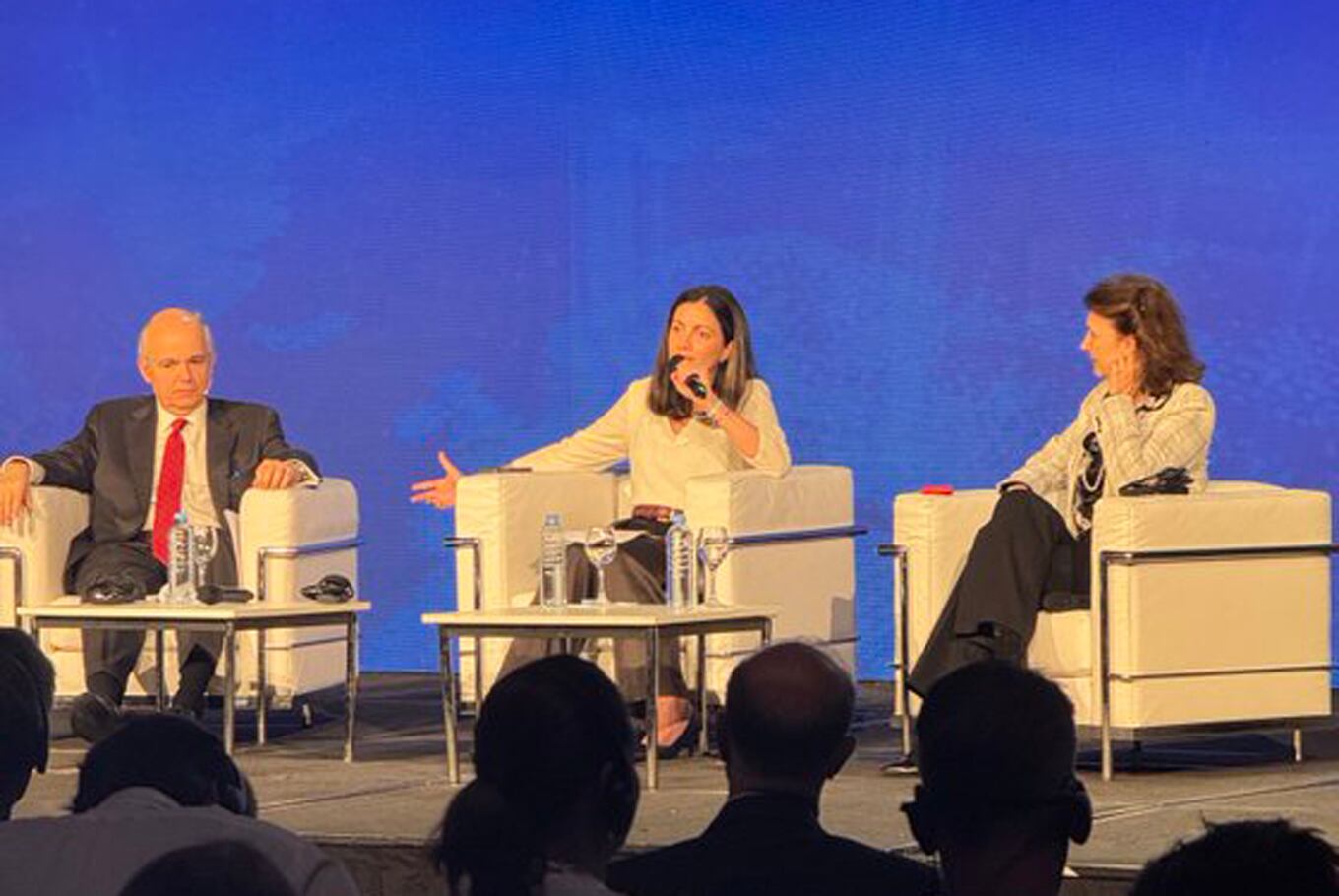 El panel de Diana Mondino en el encuentro de hoy