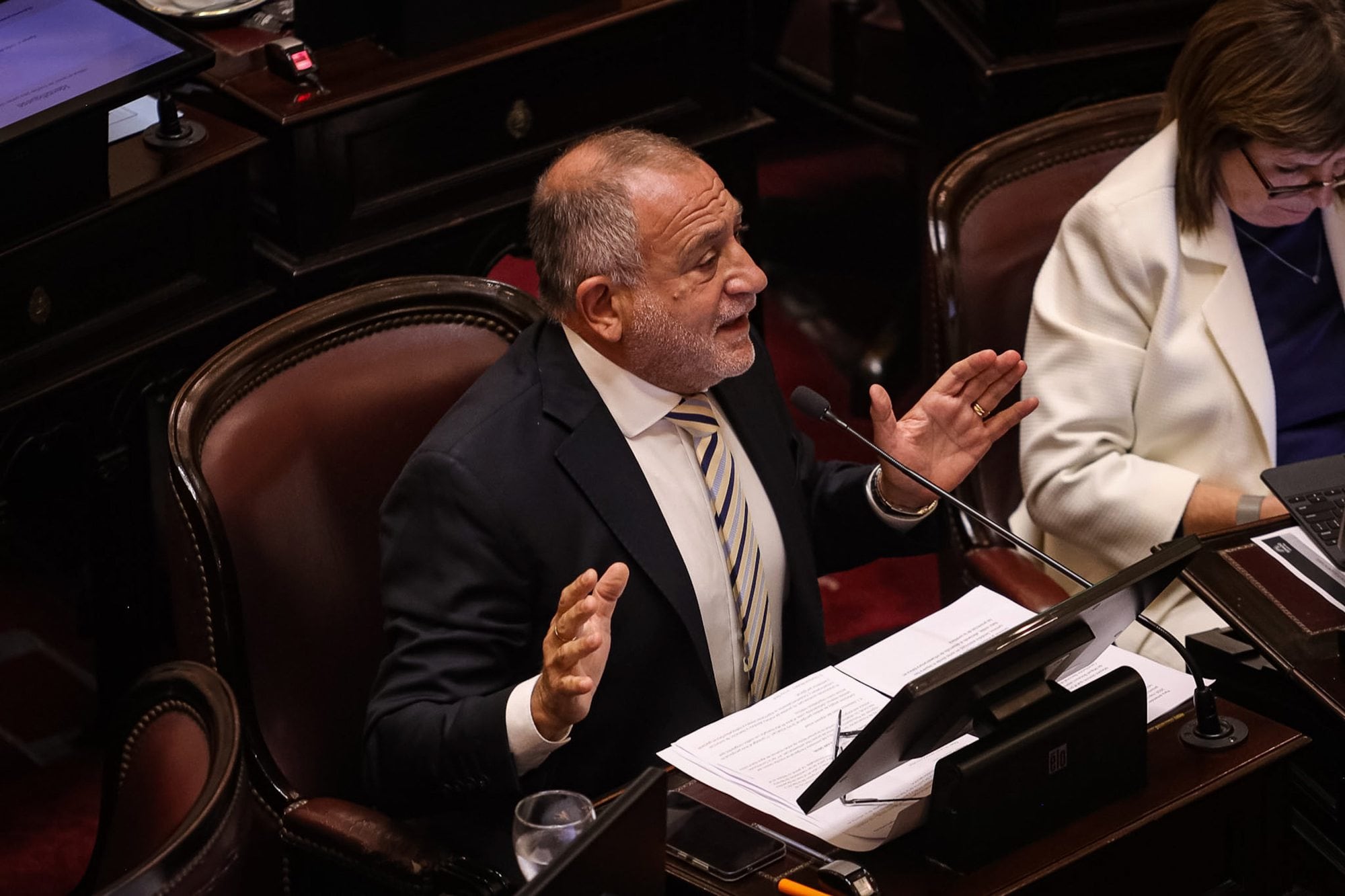 El senador nacional por La Libertad Avanza (LLA), Luis Juez