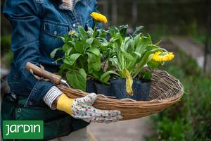 Paso a paso, qué tenés que hacer en otoño para mantener bien el jardín todo el año