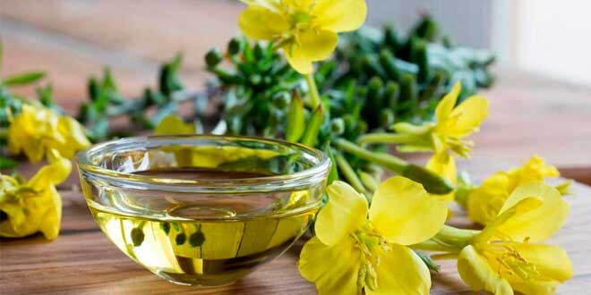 El alimento que ayuda a regenerar cartílagos, aporta vitamina C y termina con los dolores musculares