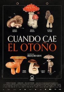 Cuando cae el otoño