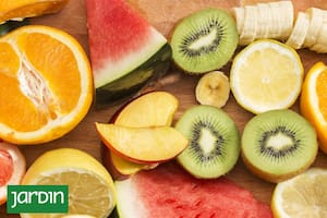 Las frutas avisan cuáles semillas se comen y cuáles conviene evitar