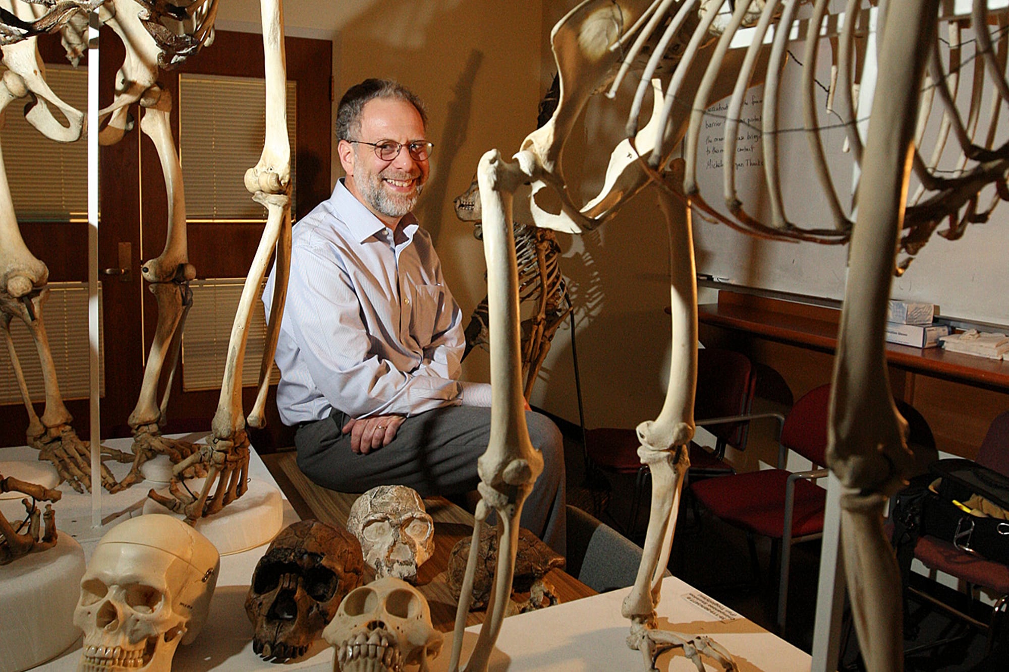 Daniel Lieberman, paleoantropólogo de Harvard: “No hay evidencia científica que demuestre que correr cause artrosis de rodilla”