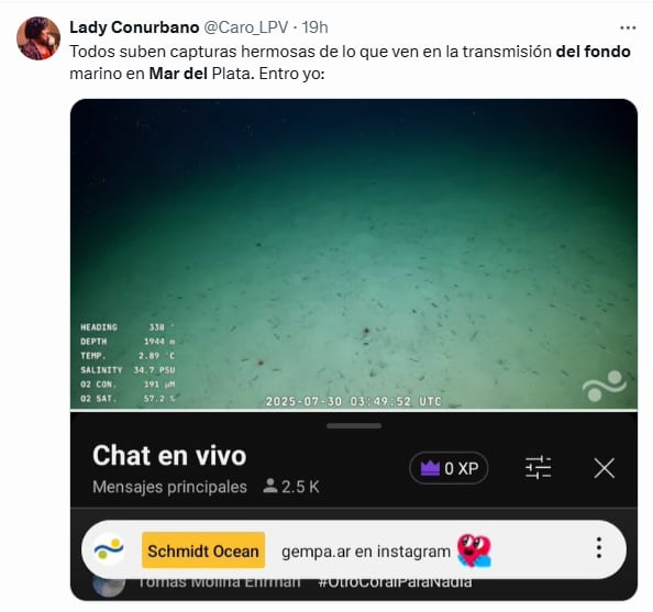 Los mejores comentarios del streaming del Conicet en las redes (Foto: X @Caro_LPV)