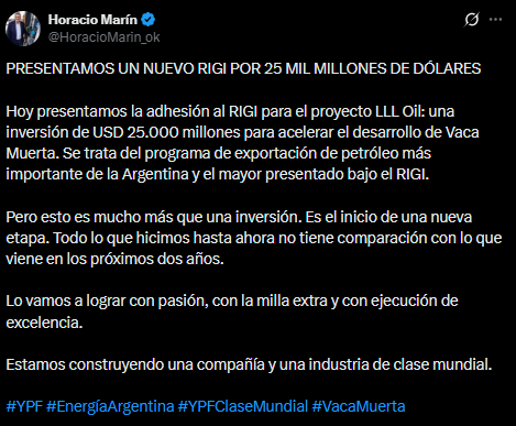 El posteo de Horacio Marín donde anunció un nuevo RIGI
