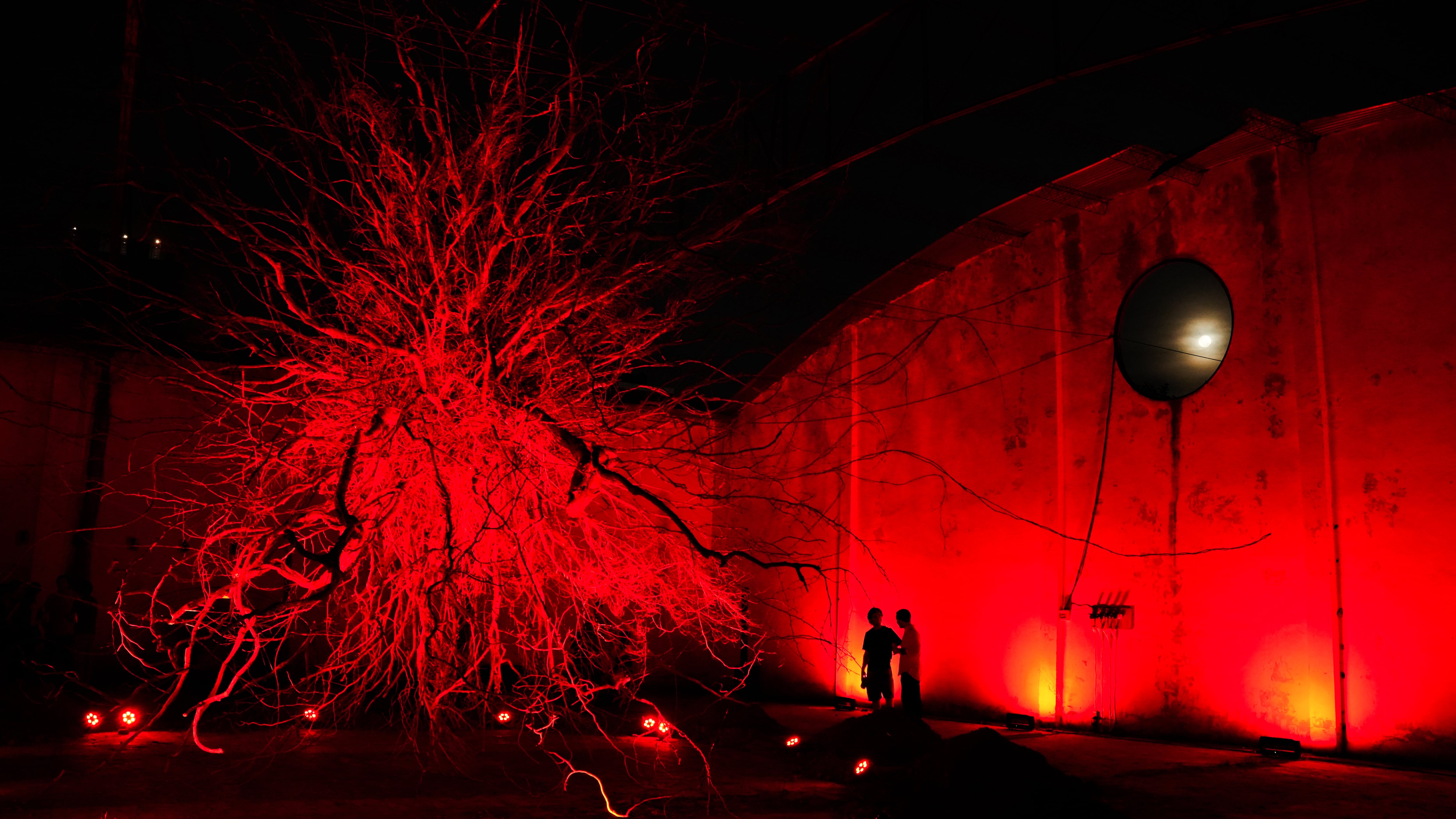 La entrada a la muestra es totalmente gratuita