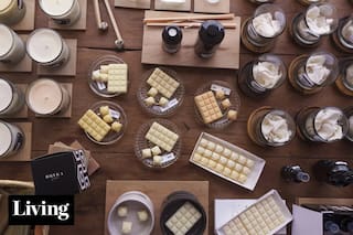 Mirá todo lo que ofrece el Paseo de Compras de Experiencia Living 2026