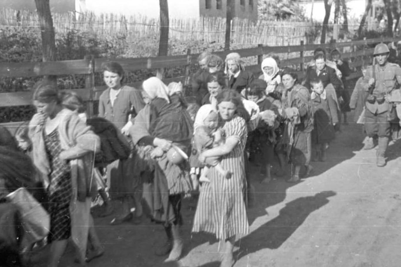 Deportación de judíos rumanos por parte de los soldados de Antonescu