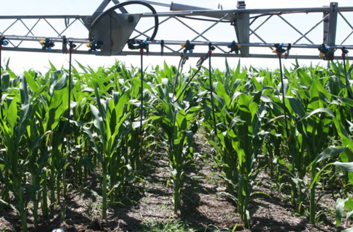 En promedio, los fertilizantes resultan “5,8% promedio más caros en la Argentina”, mientras que los herbicidas tienen un costo “un 8,2%” más elevado