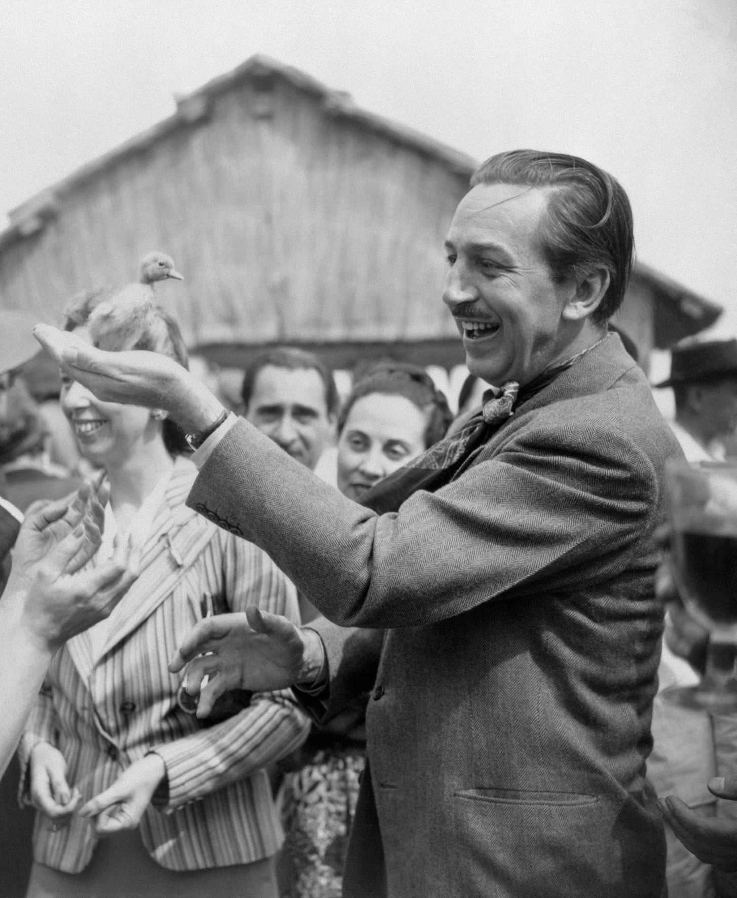 Walt Disney: “No tenía dinero para poner esto en marcha, pero encontré que la forma de empezar era dejar de hablar y hacerlo”