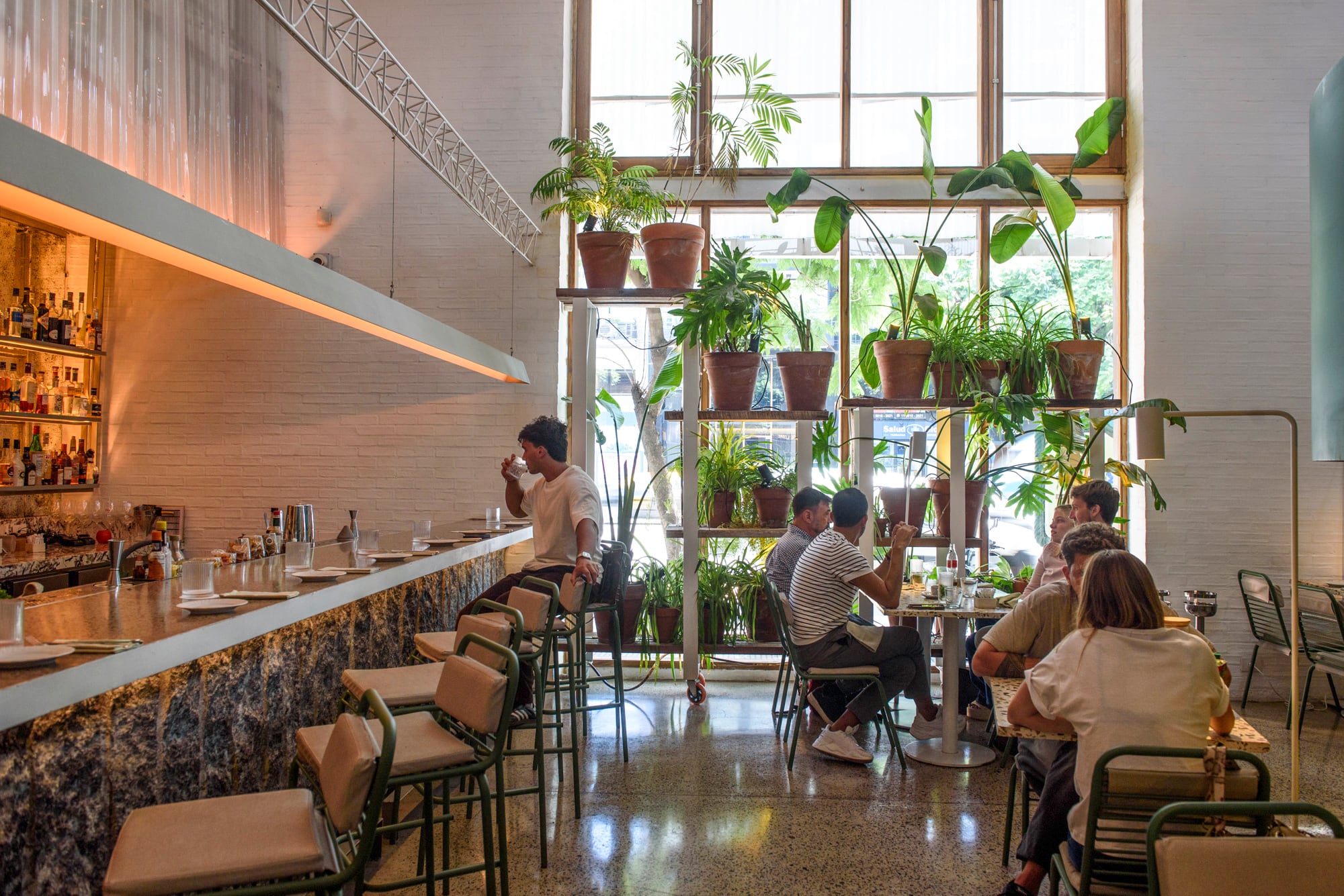 Plantas en macetas también en el interior del restaurant