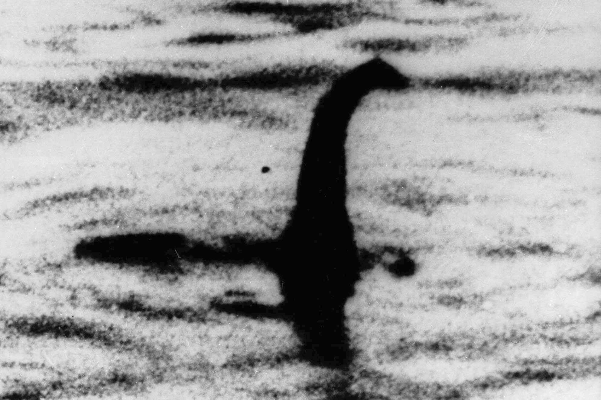 Esta foto de archivo sin fecha muestra lo que algunas personas dicen que es el monstruo del Lago Ness, en Escocia. (Foto/Archivo AP)