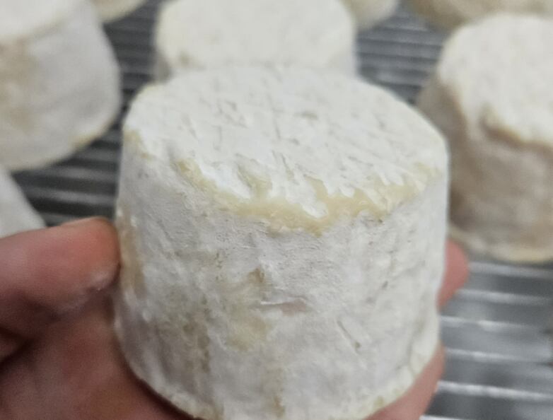 El Cabrarond tiene una maduración de 20 días; es de forma circular, similar a un Camembert; de corteza florecida e interior cremoso