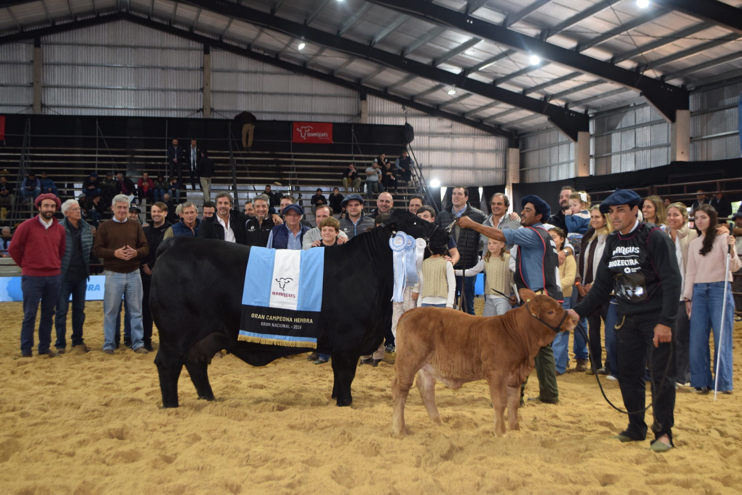 Gran Campeón Hembra de la cabaña El Impenetrable