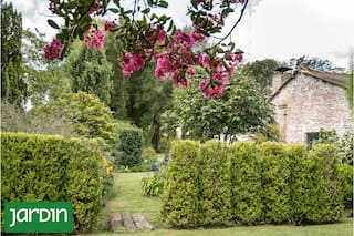 Armá tu jardín victoriano a la manera de las novelas de Jane Austen