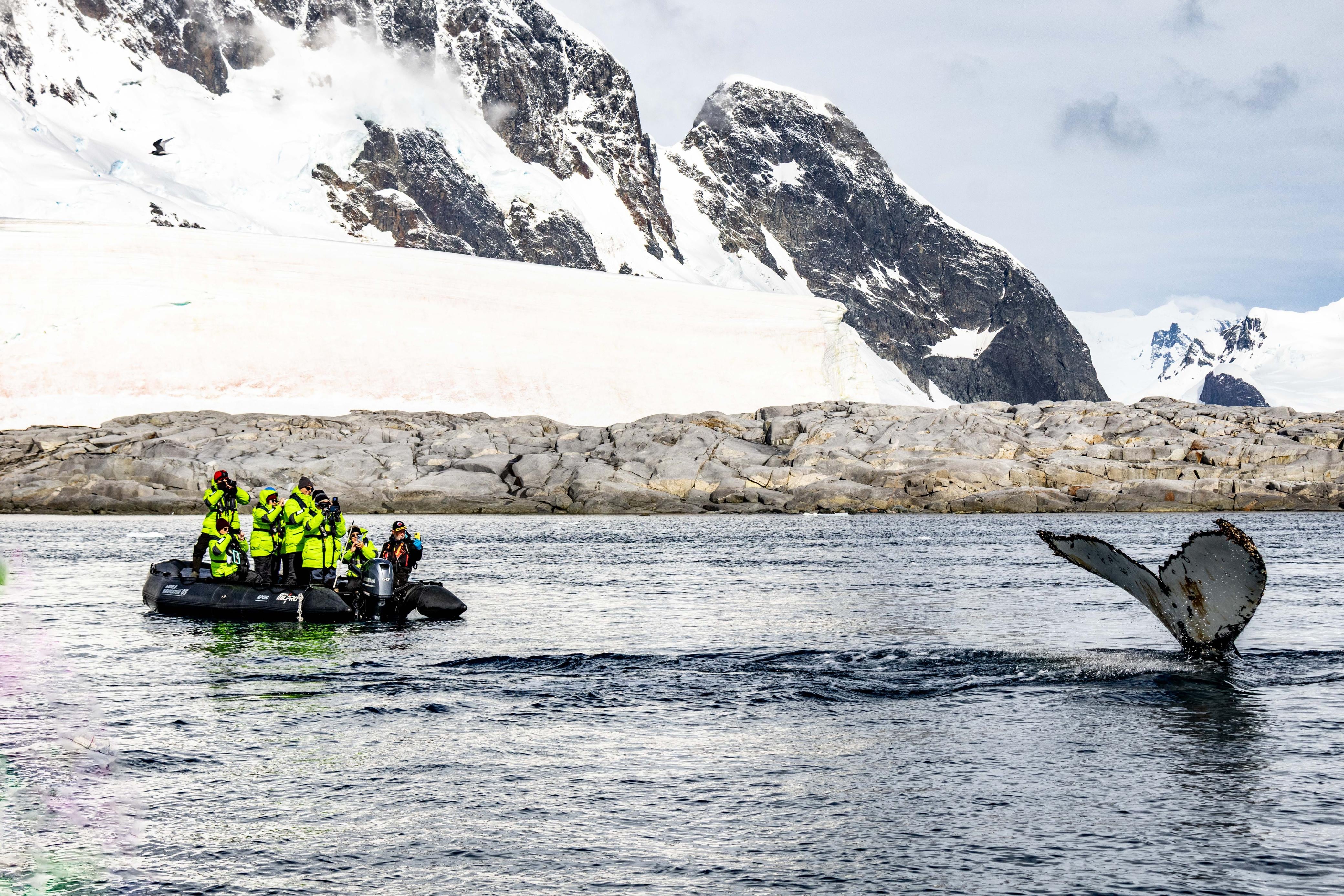 “Porque en la Antártida rige una regla sagrada: no dejar huella. Ser guía no es solo mostrar belleza; es custodiar un equilibrio frágil y, para mí, transformar a cada visitante para que regrese cambiado, con el corazón despierto”.