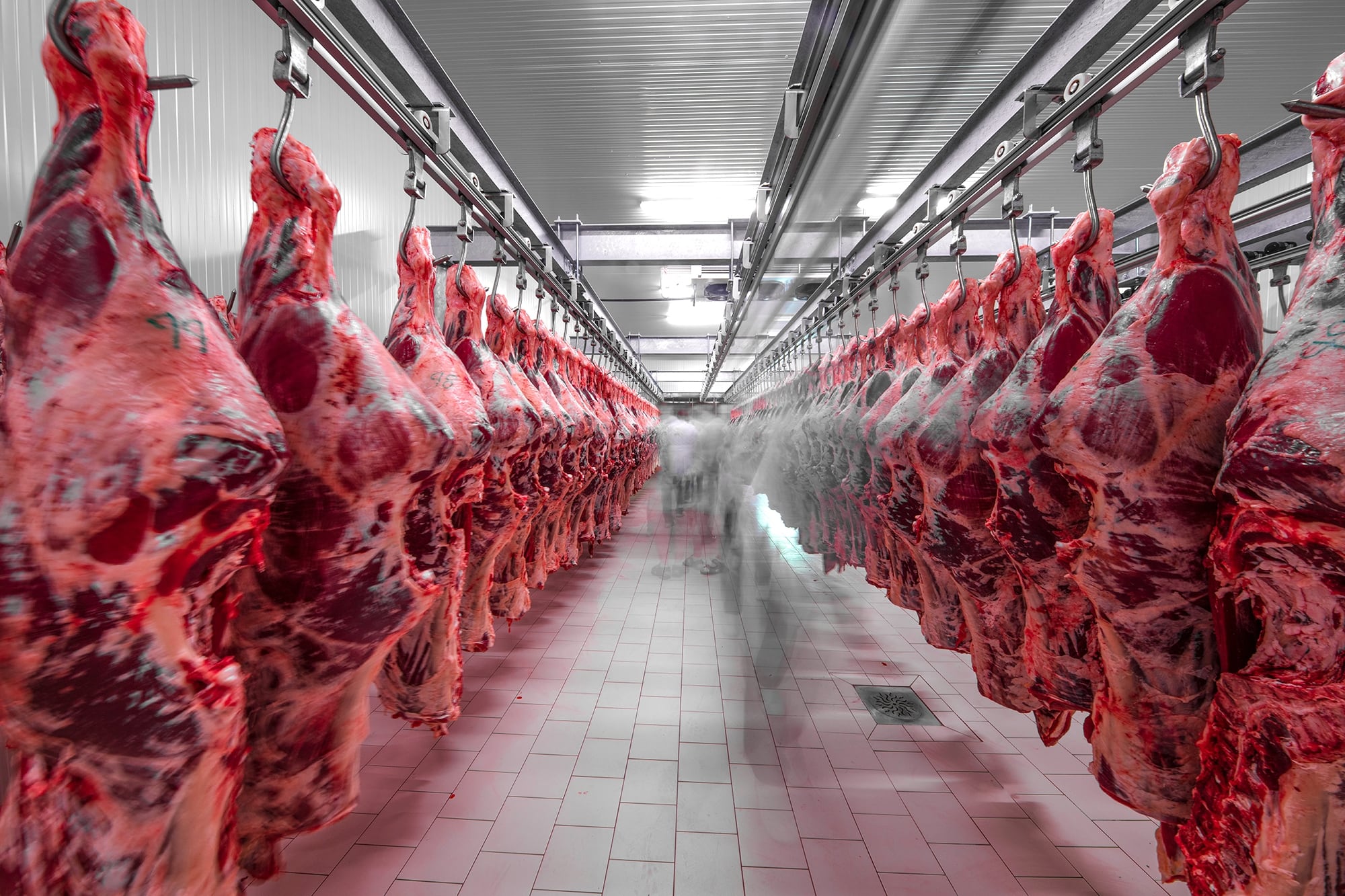 Se exportó carne vacuna a un precio récord y en lo que va del año llegaron más de US$1800 millones