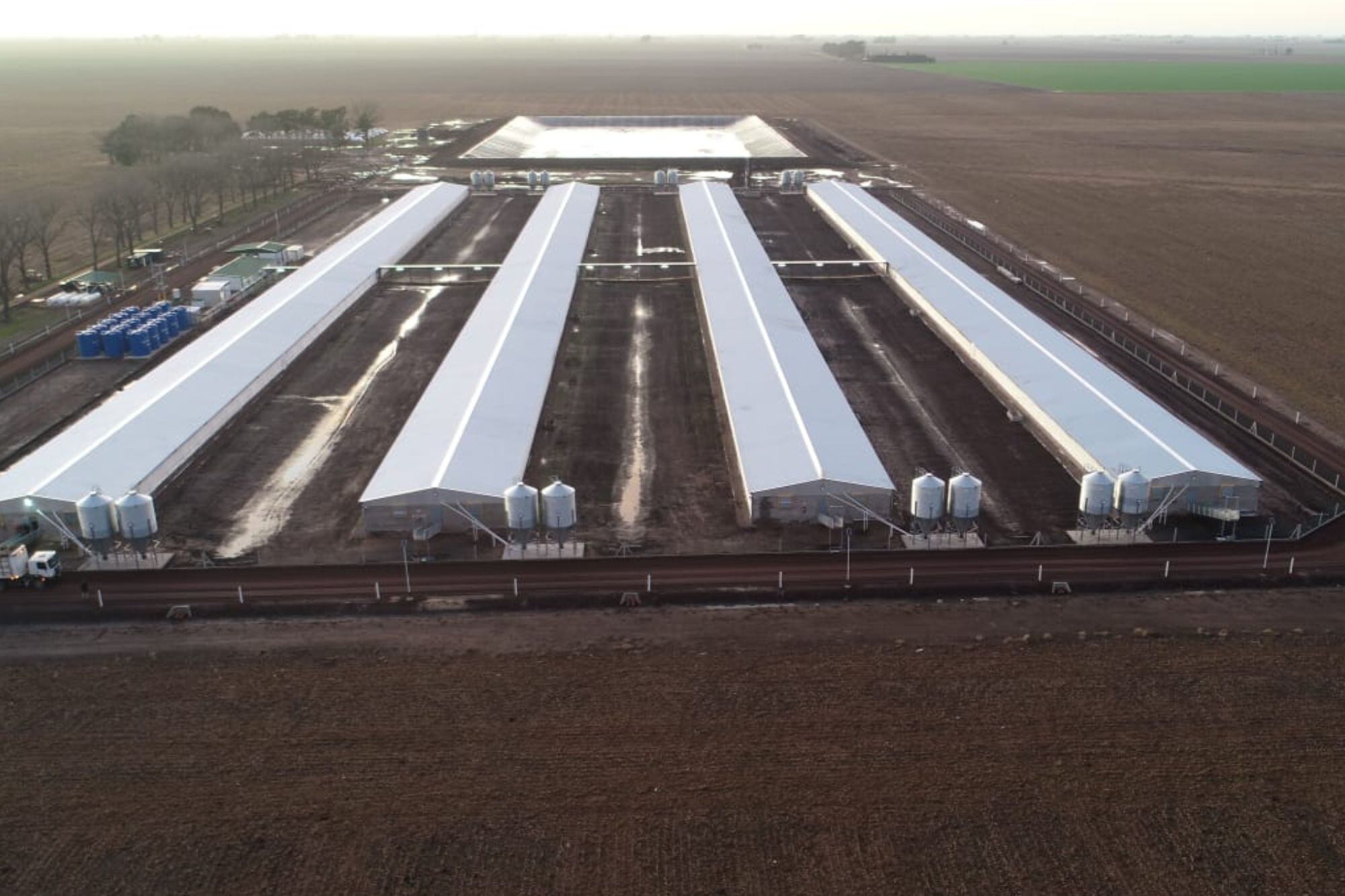 Los productores tienen un esquema asociativo. Un establecimiento de engorde inaugurado junto a Prince Cereales SA