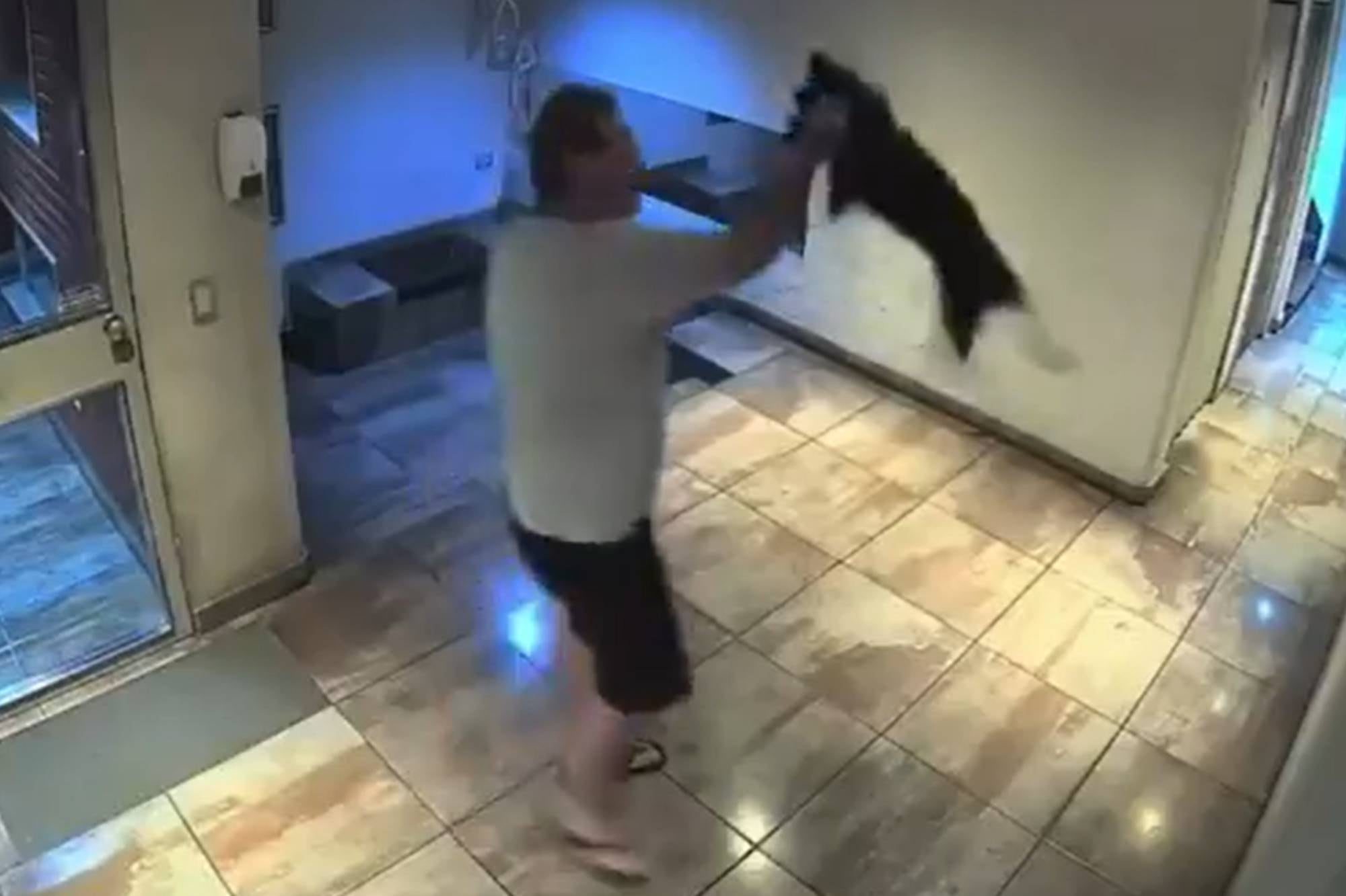 Video: salió con un perro al hall del edificio en Palermo y lo revoleó contra el piso